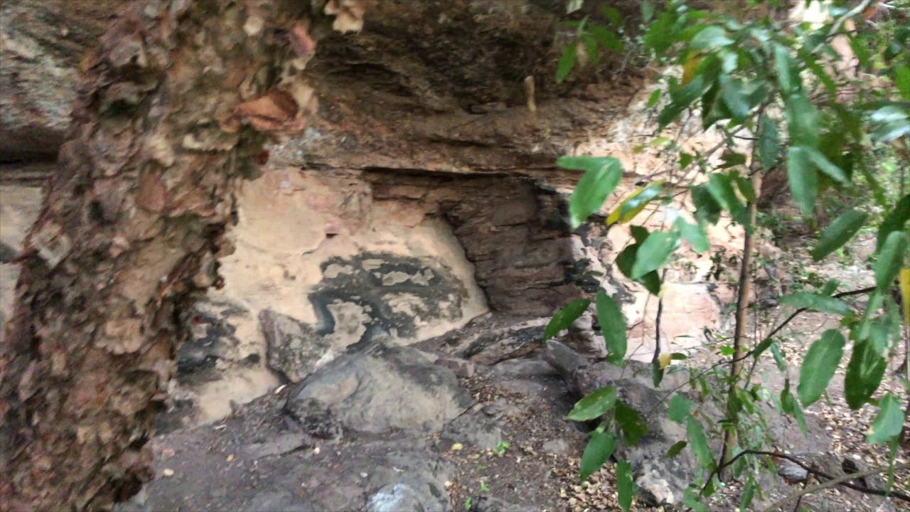 Search for the Oenpelli Python