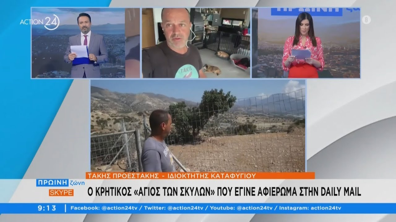 Takis Shelter: Το καταφύγιο που παρέχει αγάπη και ασφάλεια στα αδέσποτα | ACTION 24