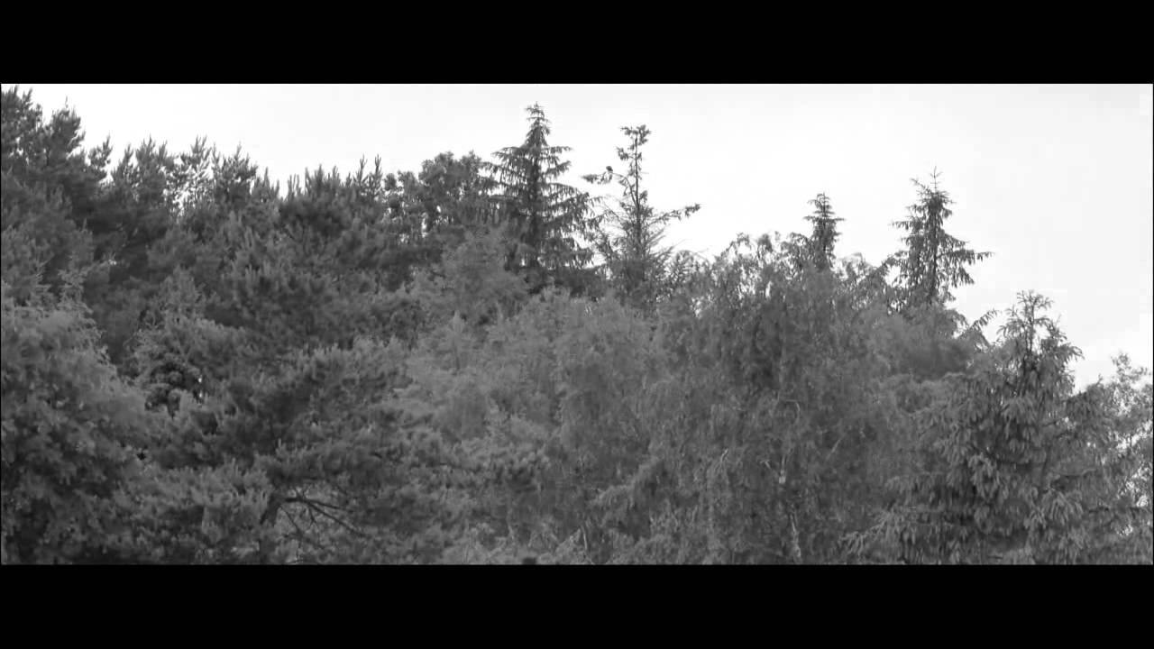 A.D. Cruze ft Lewis Hensley - Midnight (A.D. Cruze Dutchy Drum Mix)