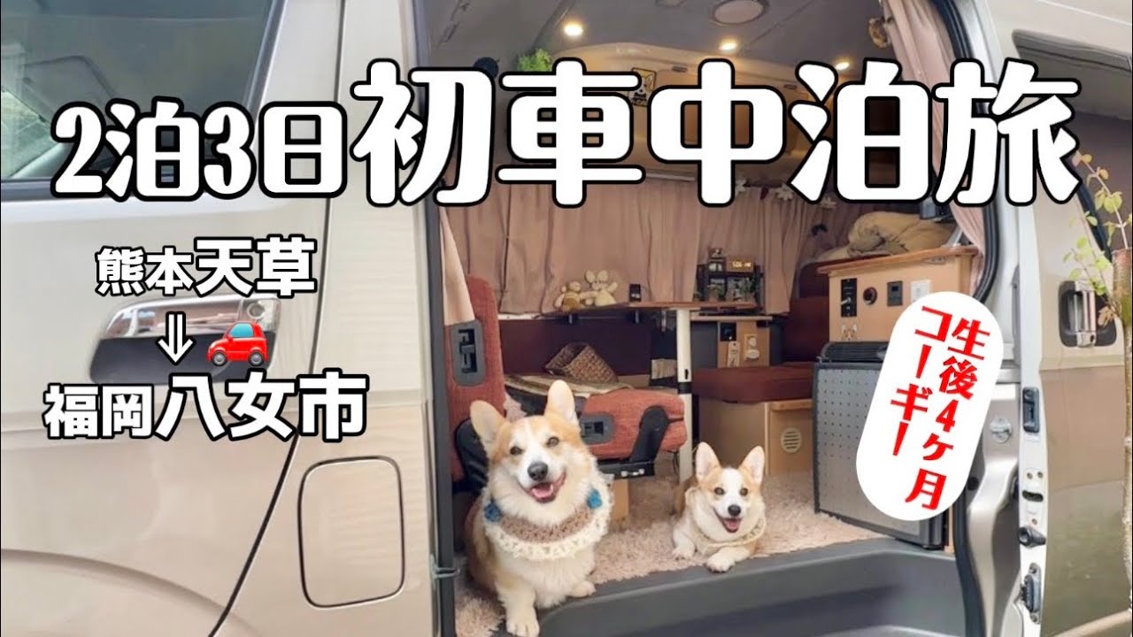 子犬コーギー初の車中泊旅②｜天草&rarr;八女🐾車内ごはん＆神社参拝ガラスのお守り