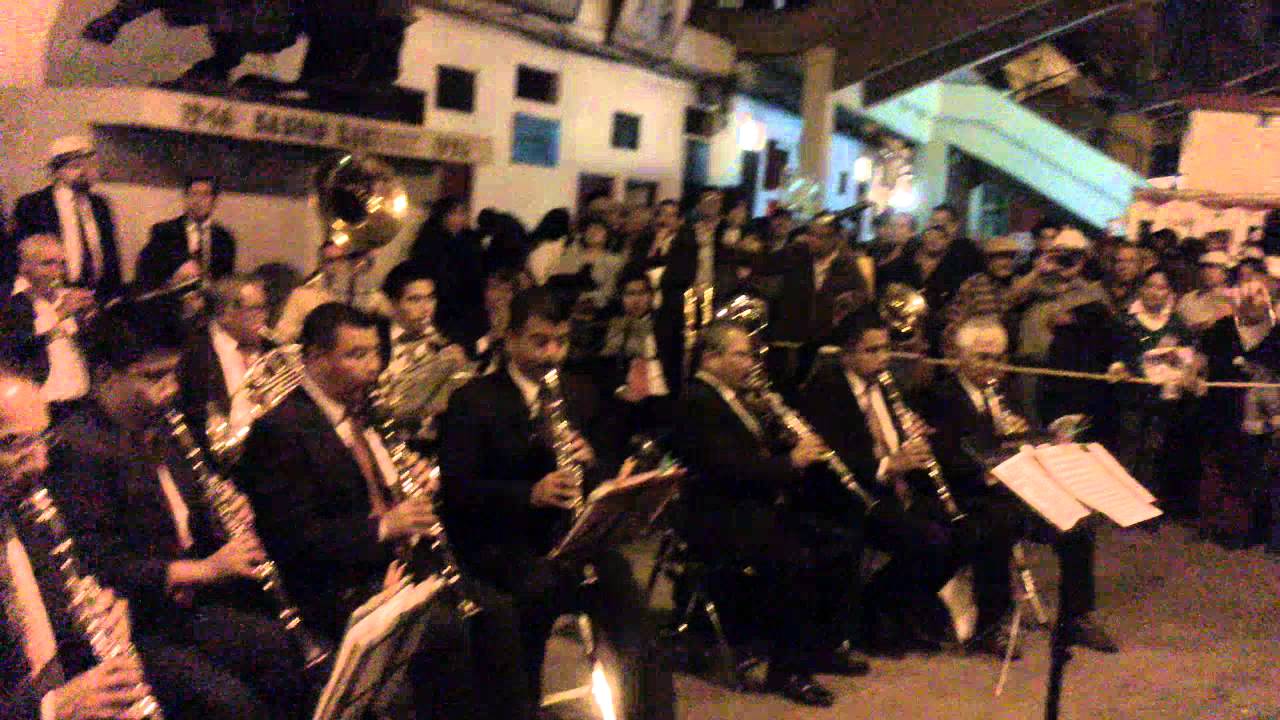 El gato Montes