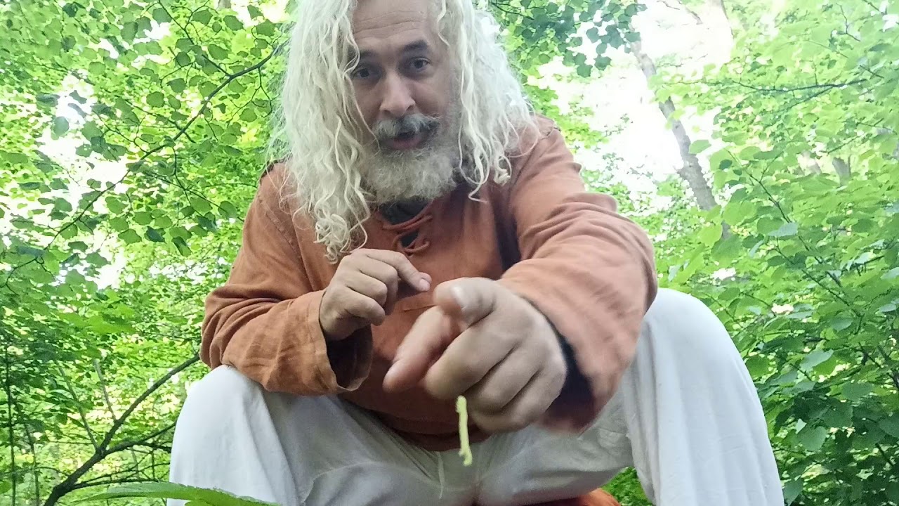 Pranayama - Daniel Dayananda Swami - základy správneho dýchania s bonusom.