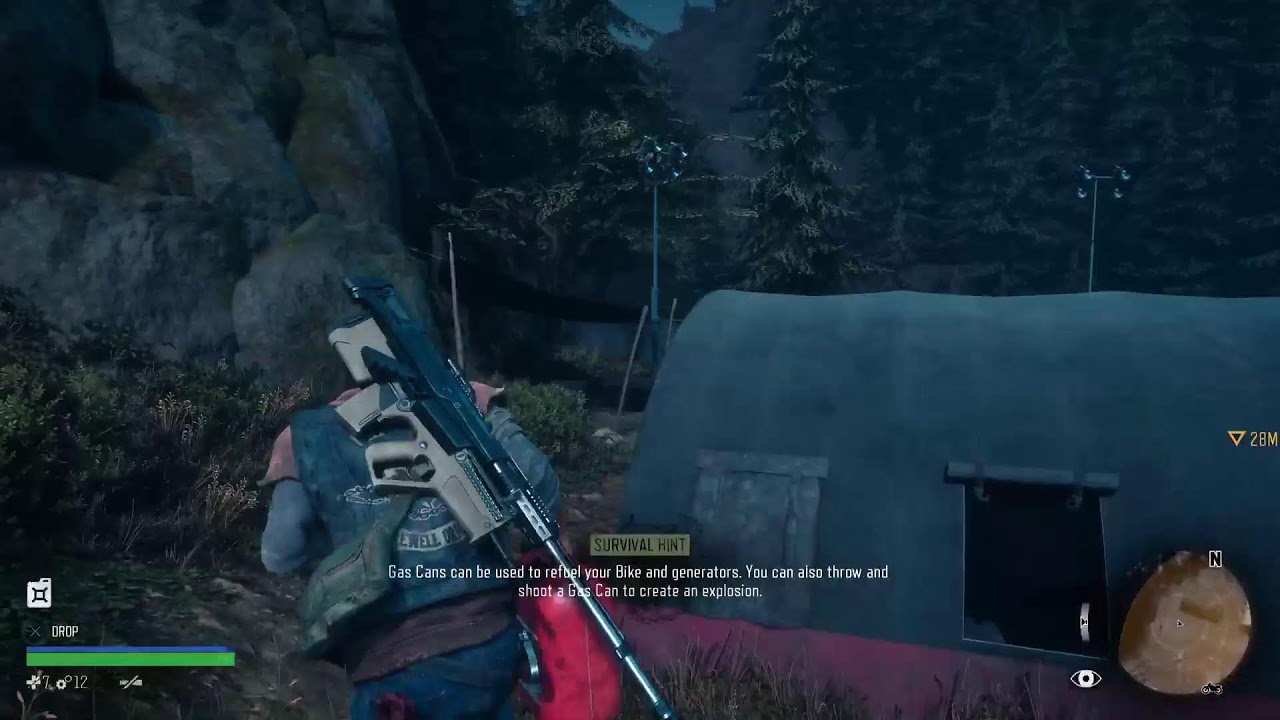 Days Gone