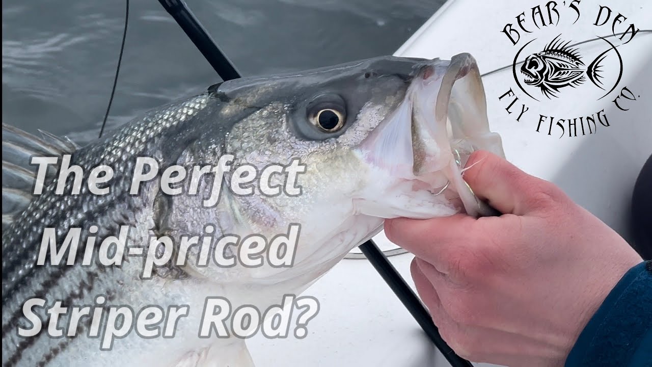 An on the water fly rod test with the G. Loomis Imx-Pro V2S, fishing for early season striped bass.