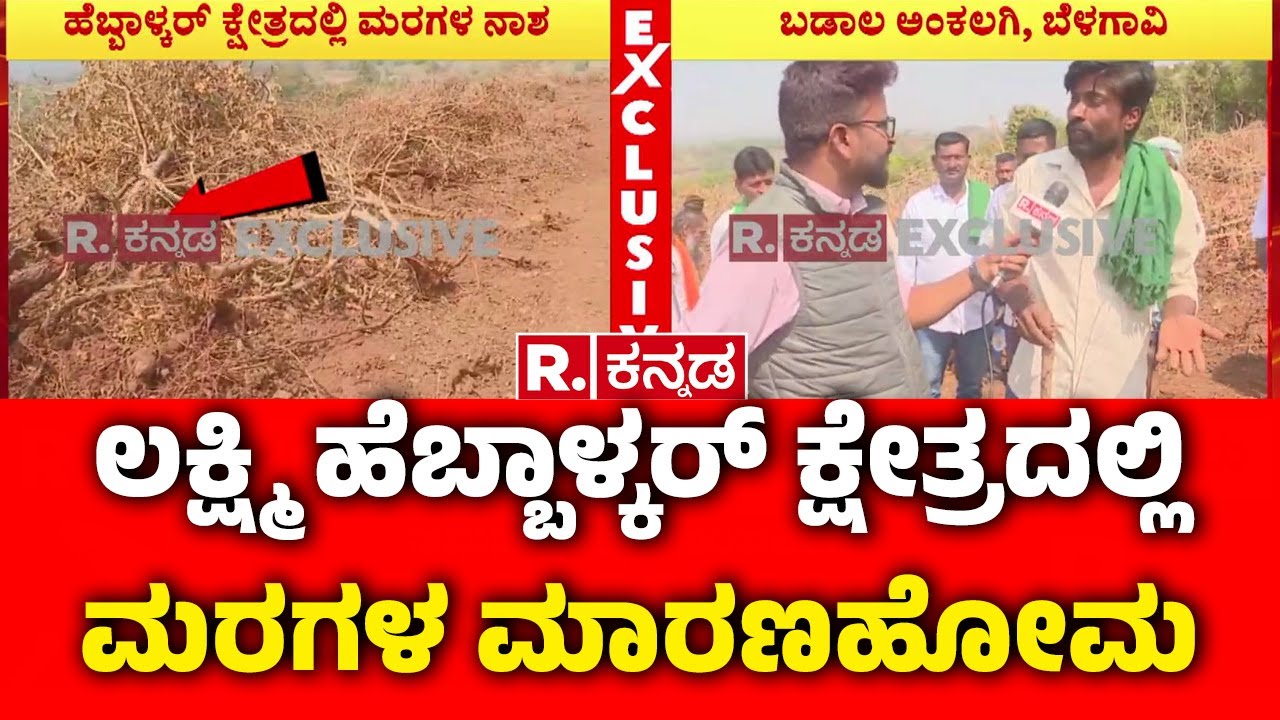 Large-scale Tree Destruction In Ankalagi Belagavi : ಲಕ್ಷ್ಮಿ ಹೆಬ್ಬಾಳ್ಕರ್ ಕ್ಷೇತ್ರದಲ್ಲಿ ಮರಗಳ ಮಾರಣಹೋಮ