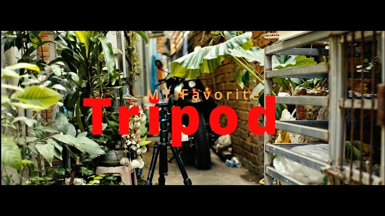 My favorite Tripod