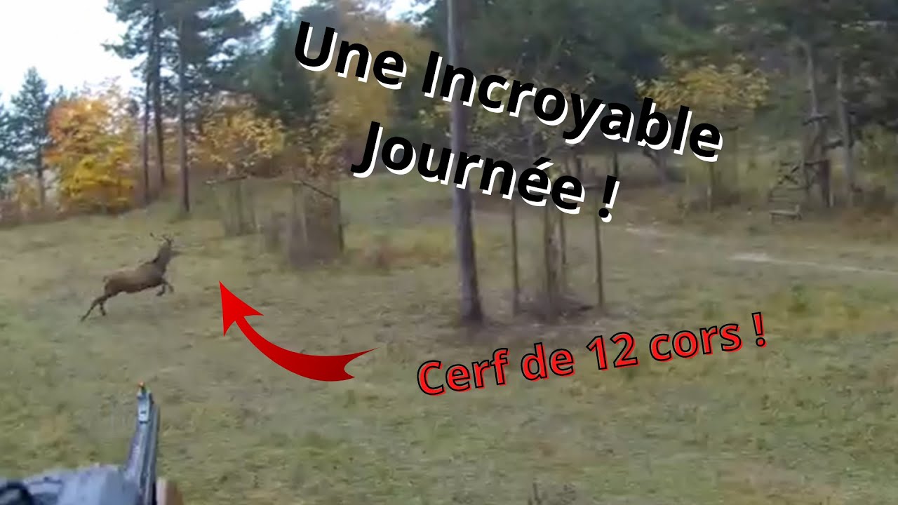 Mon Premier Cerf ! Chasse aux Cervid&eacute;s et Sangliers
