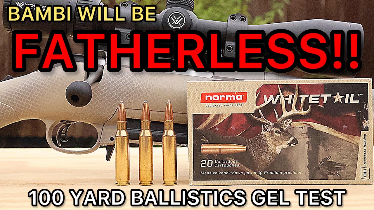 7мм-08 МОНСТР?! Тест охотничьих патронов Norma Whitetail