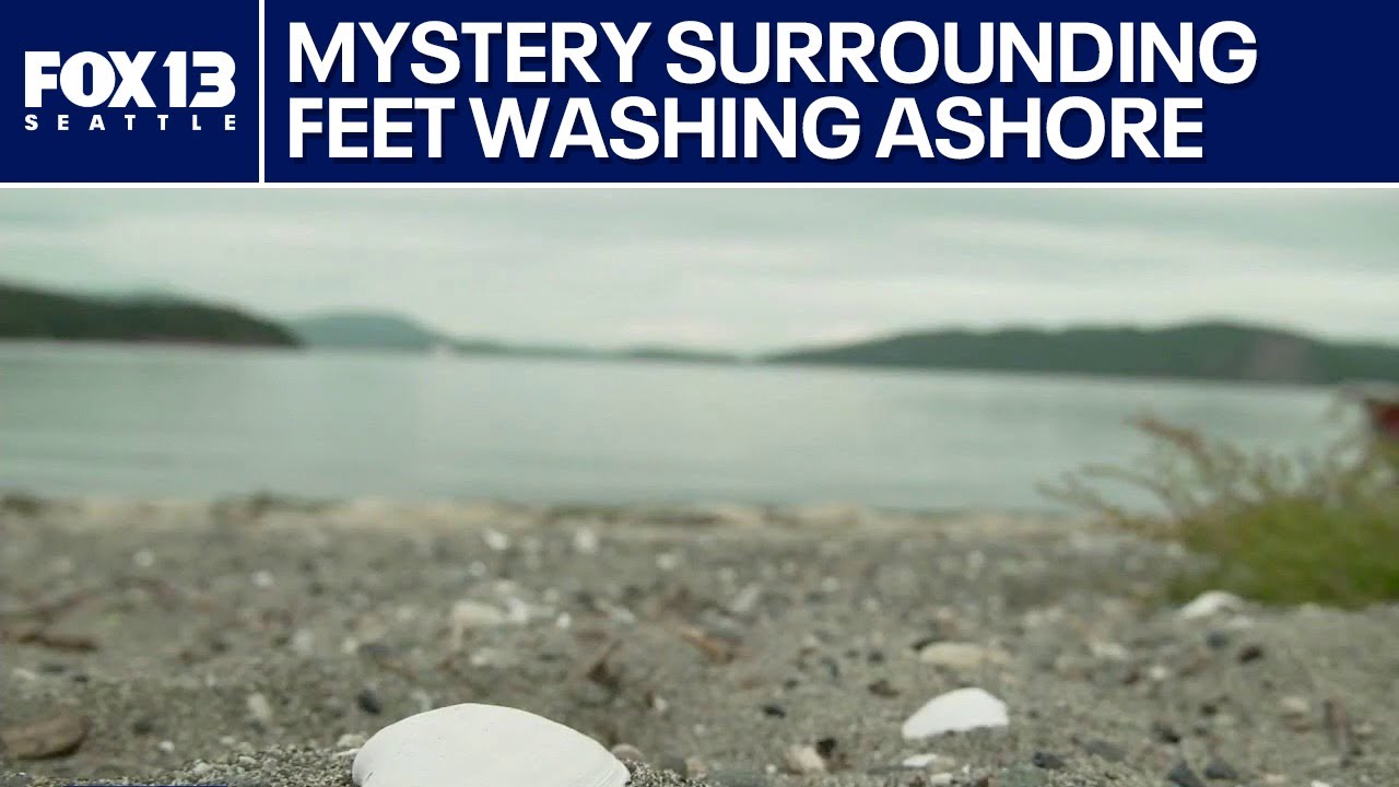 Why severed feet keep washing ashore in the Salish Sea, experts say