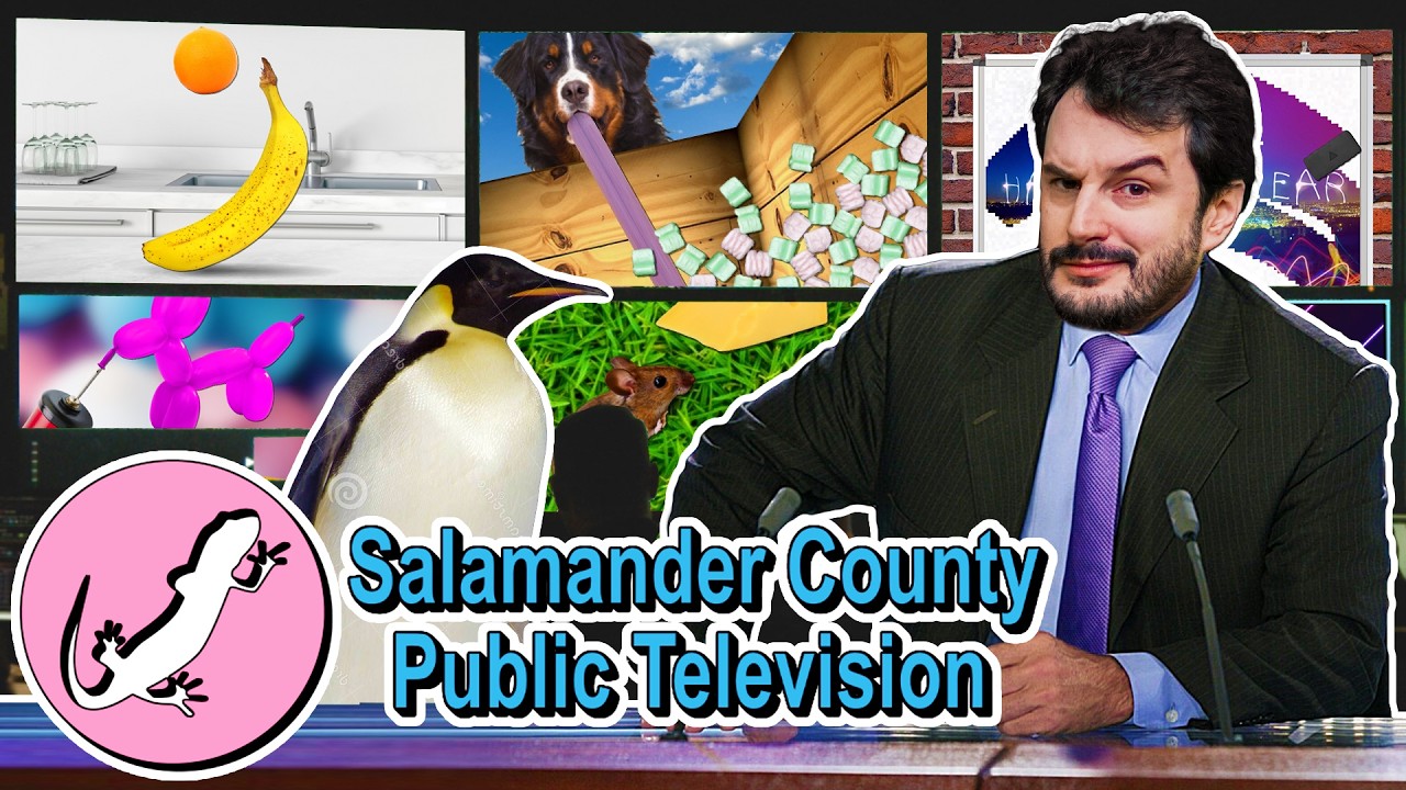 AU PROGRAMME : TOUT ET N'IMPORTE QUOI !! -Salamander County Public Television- [ABSURDE]