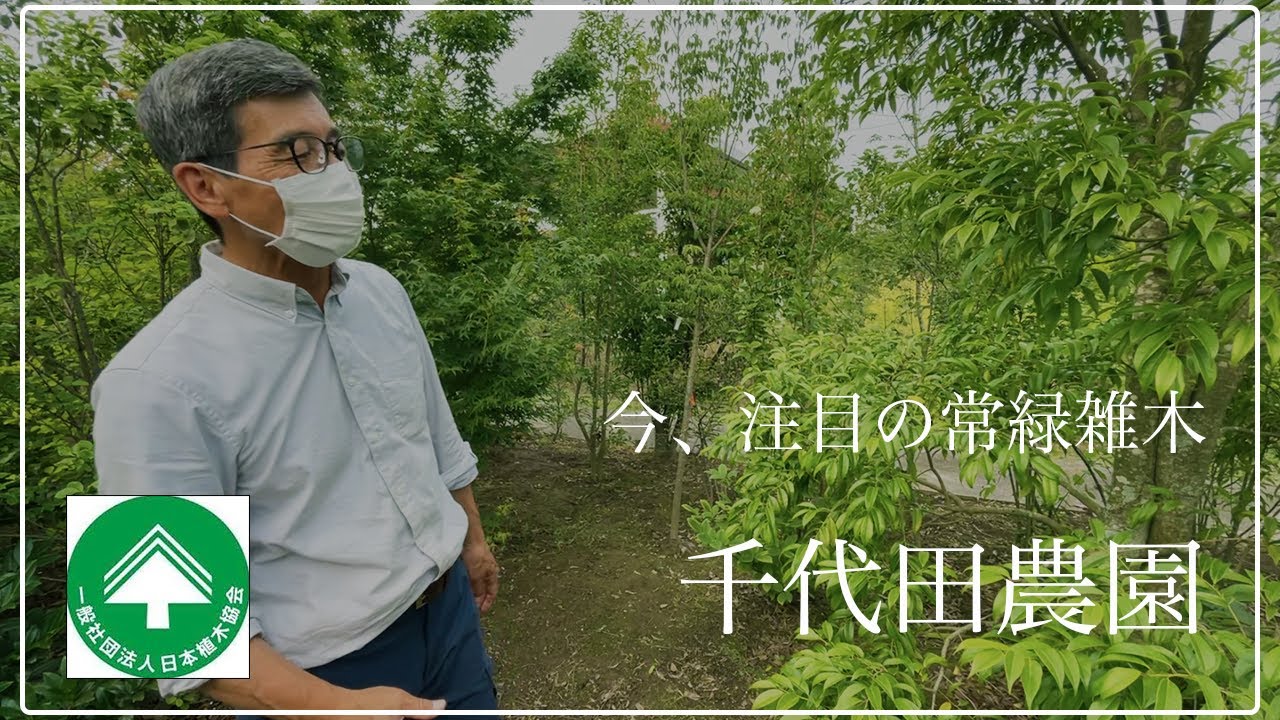 【部会員紹介】千代田農園　今注目の常緑雑木！
