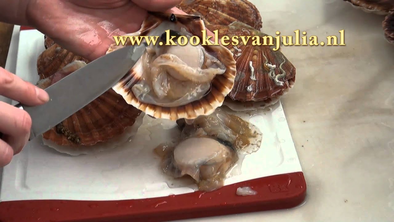 Coquille