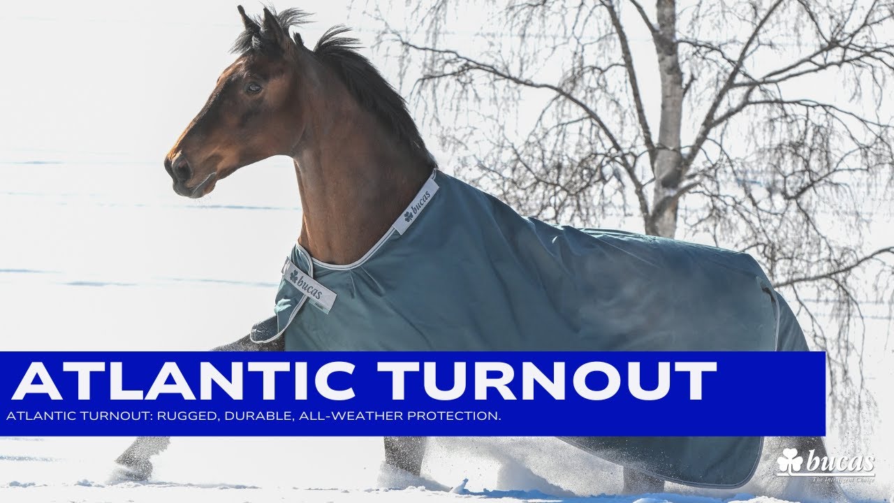 Bucas Atlantic Turnout