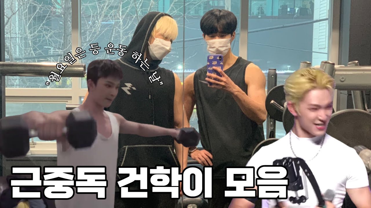 [원어스] 운동을 미루는 당신에게, 헬창 이도 모음
