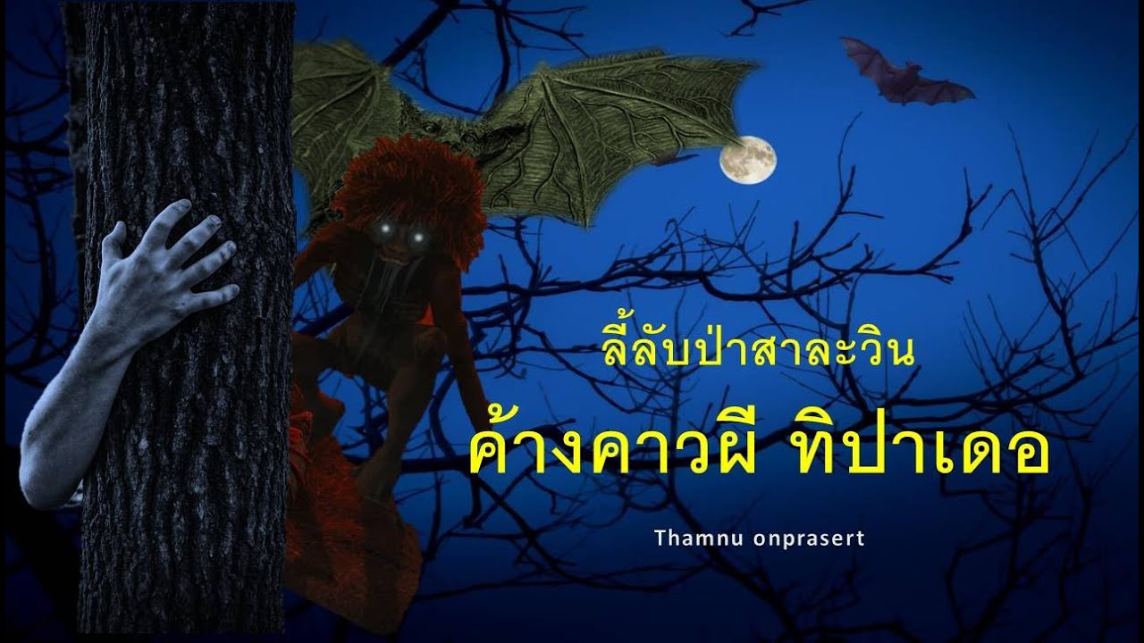 ๙๑.ค้างคาวผี ทิปาเดอ ลี้ลับป่าสาละวิน