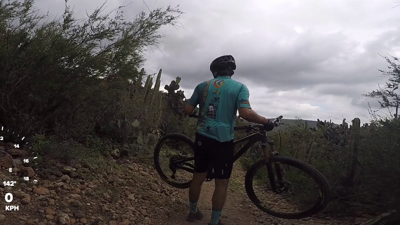 Kamikazes MTB - SLP