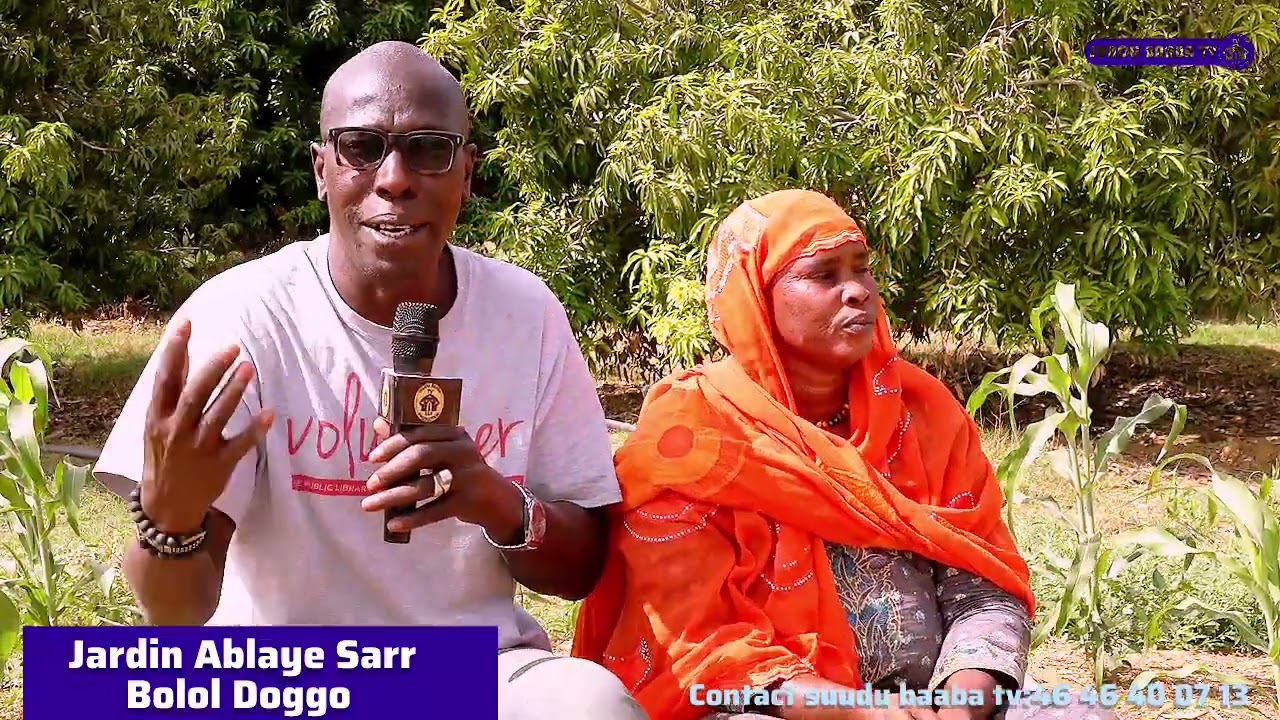 Suudu baaba tv:Jardin Ablaye Sarr à Bolol doggo 