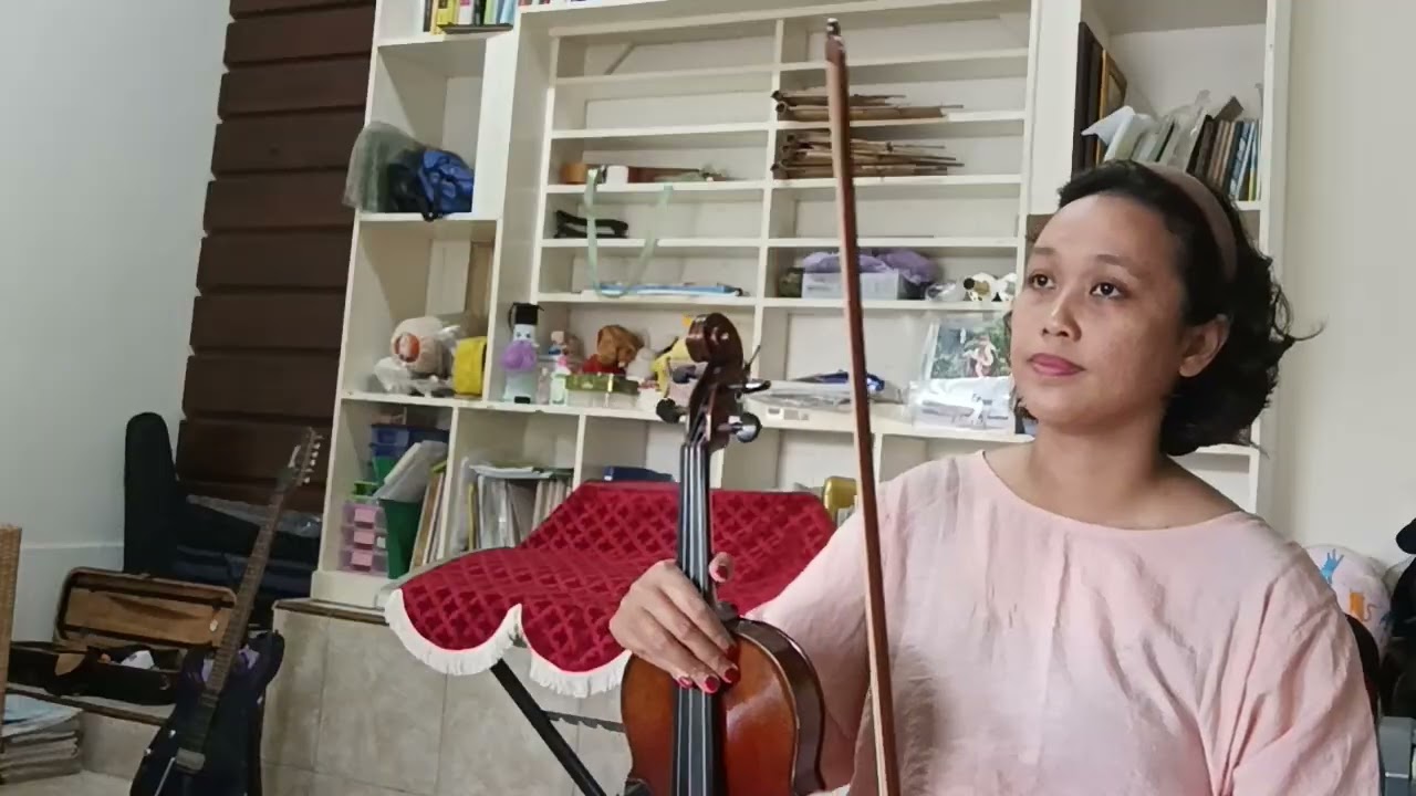 You Are My Sunshine Violin 