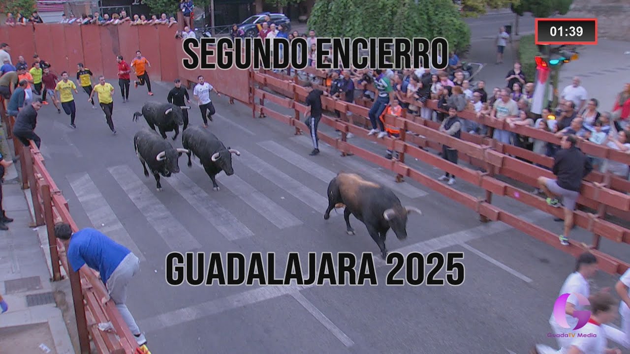 Larguísimo segundo encierro de las Ferias de Guadalajara de 2025