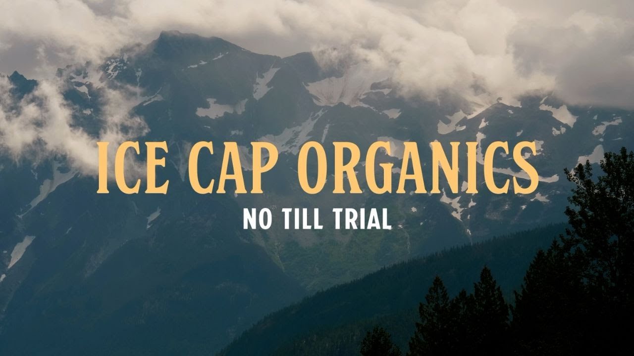 Organic Innovation Series Episode 3: No Till Trial - Ice Cap Organics