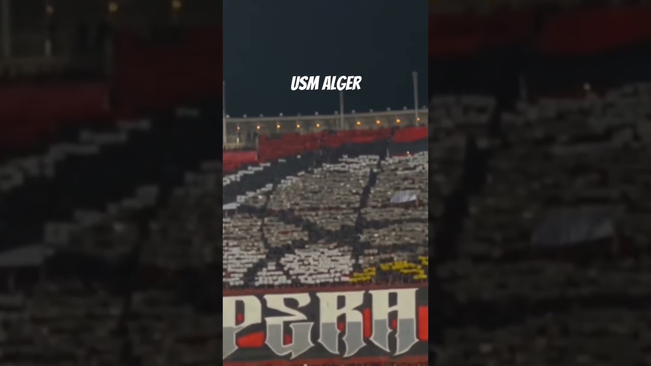 Usm Alger 🇩🇿                                            