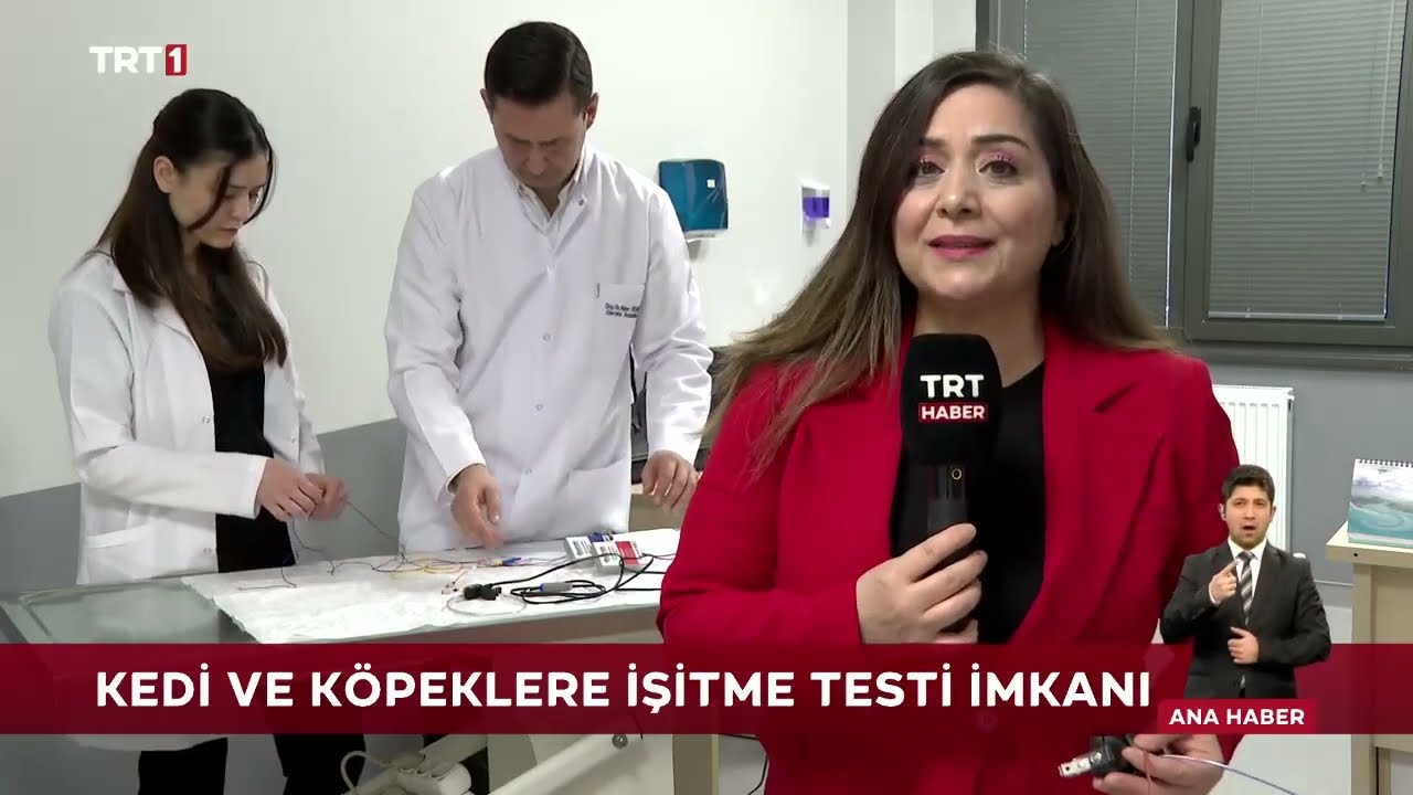 Kedi  ya da köpeğiniz işitmiyor olabilir mi?