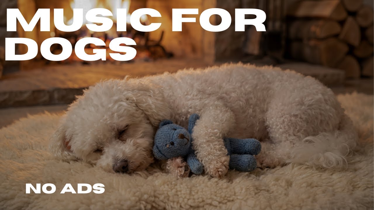 This Sound Calms Dogs FAST 💤 8 Hour Relaxing Music for Anxious Dogs