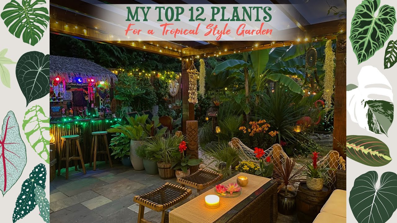 My Top 12 Plants For A Tropical Style Garden + Night Tour 🌺🌴🦋✨