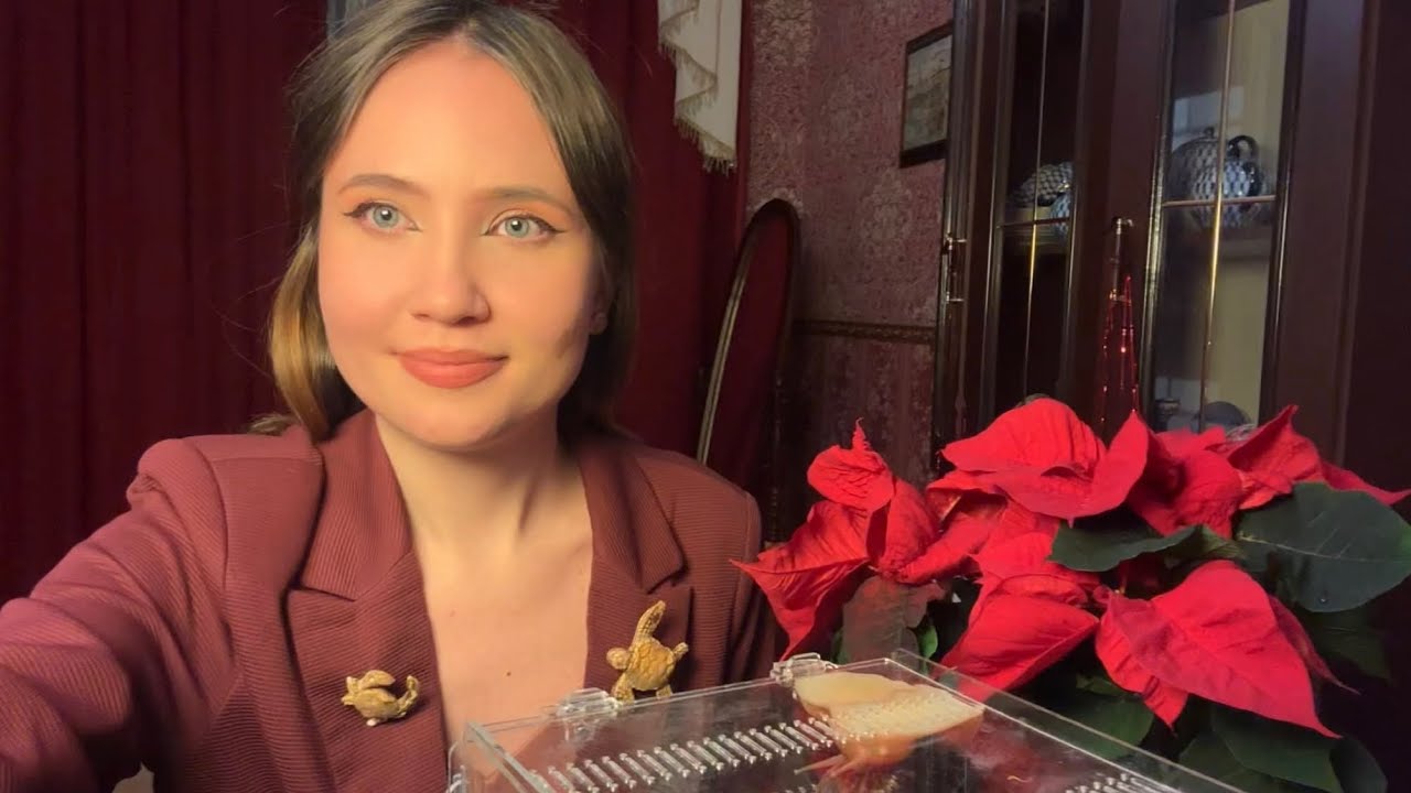 Я завела ГИГАНТСКИХ УЛИТОК! Чему могут научить нас эти создания?
