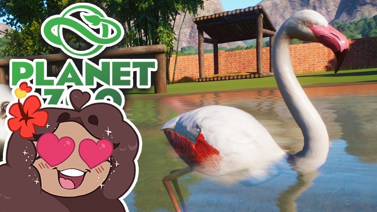 Стая фламинго прибыла!! 🐼 Daily Planet Zoo! • День 2