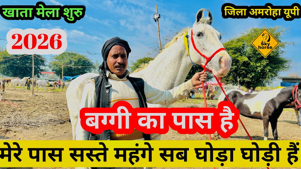 बग्गी का पास है मेरा घोड़ा | #Khatamela2026