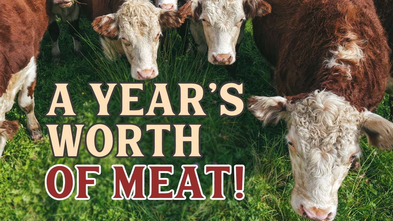 PODCAST: How we raise a YEAR'S worth of meat! | Pantry Chat