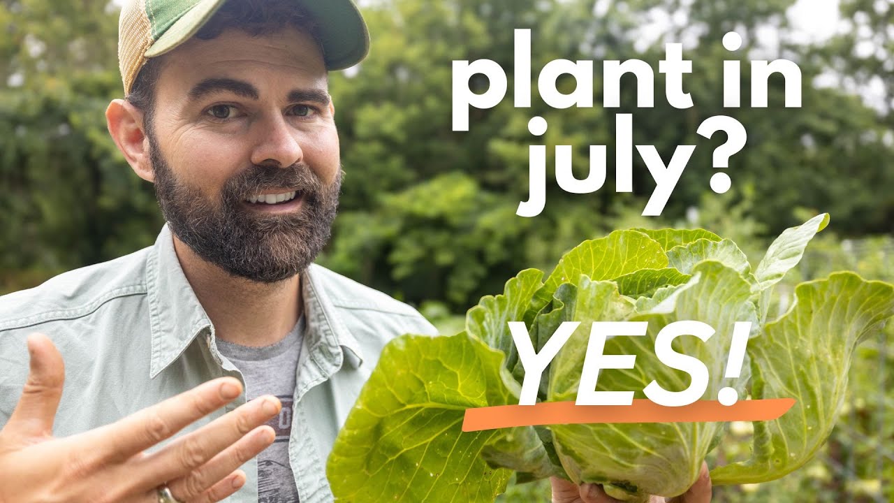 When to Start Your Fall Garden: NOW (Before It’s Too Late)