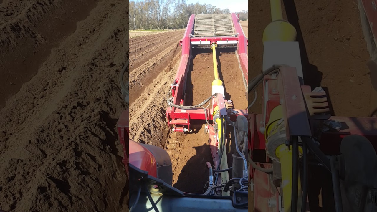 scanstone separating good stuff