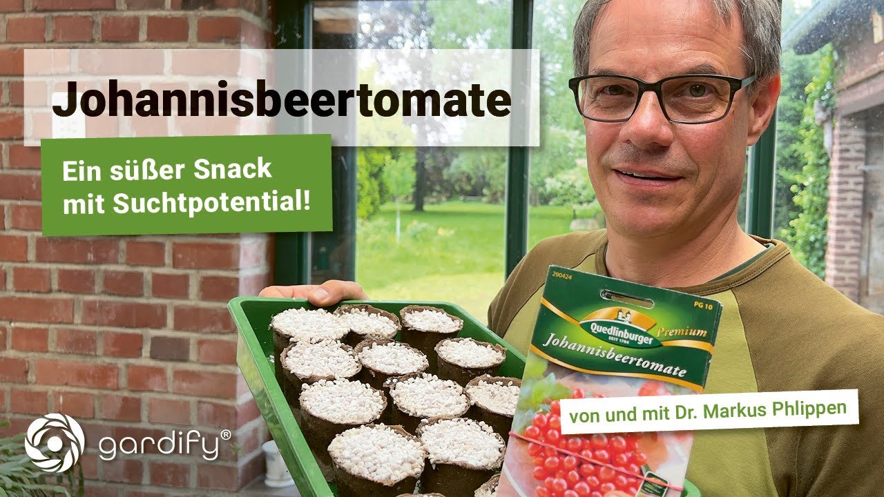 Johannisbeertomate - Ein süßer Snack mit hoher Widerstandskraft gegen Kraut- und Braunfäule!