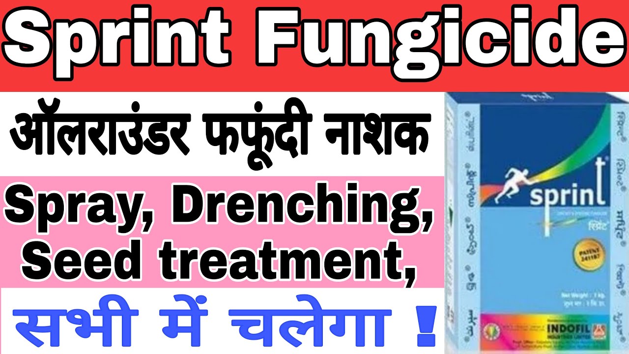 sprint fungicide || sprint indofil || #mencozeb 50 + carbendazim 25 ||  #drpunitshishodia