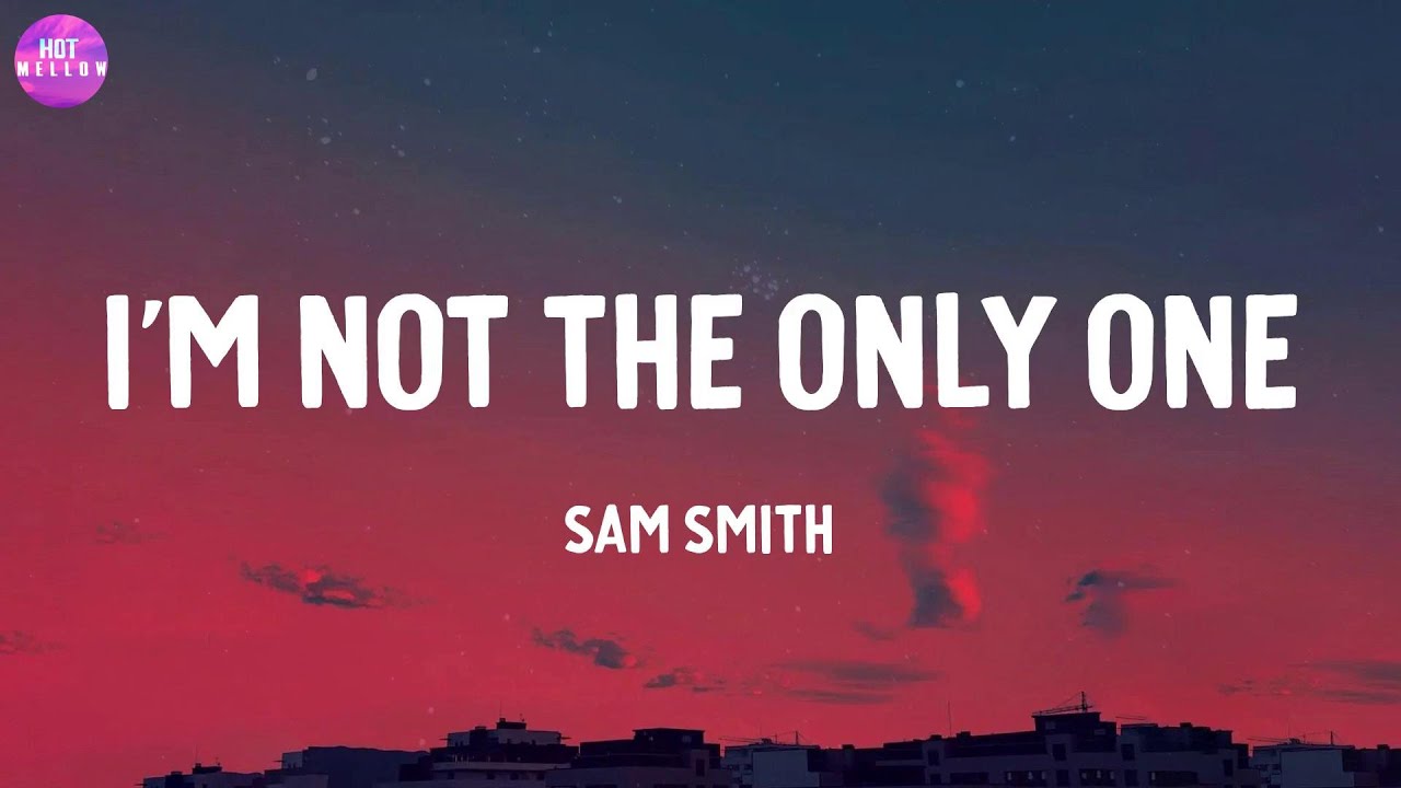 I'm Not The Only One - Sam Smith / Only Love Can Hurt Like This, Love Someone,...(Mix)