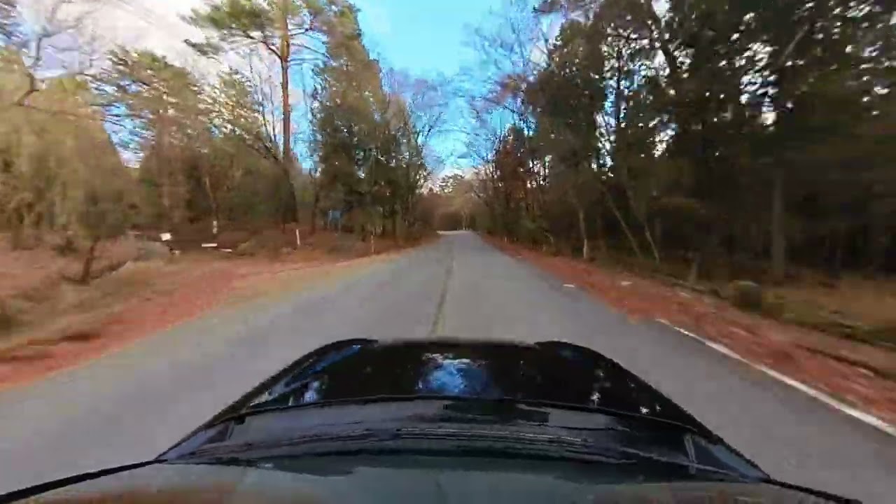 Beautiful Momiji Line in Autumn