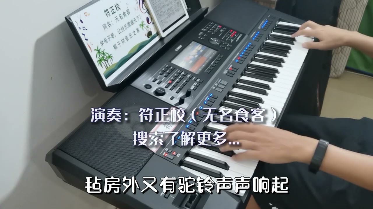 王琪《可可托海的牧羊人》电子琴演奏