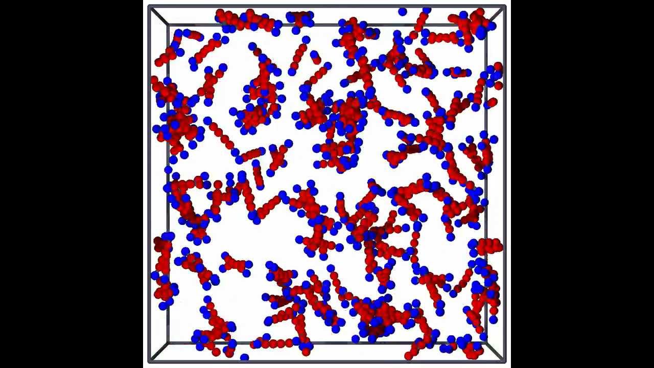 Bola-amphiphile self-assembly