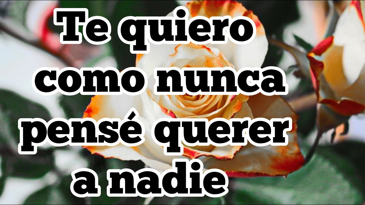 Te quiero como nunca he querido