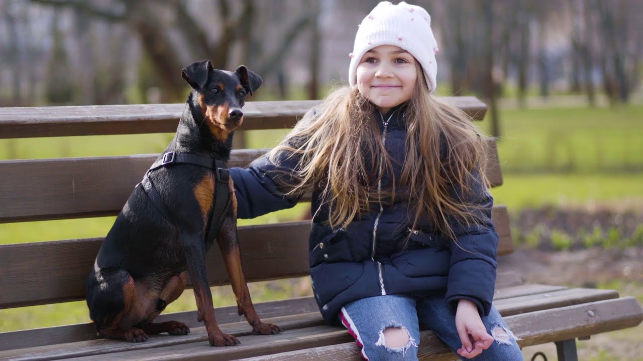 M is for Miniature Pinscher