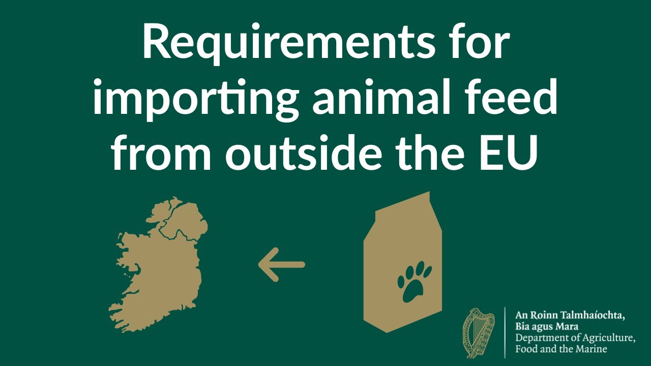 How to import animal feed from outside the EU in post #Brexit era