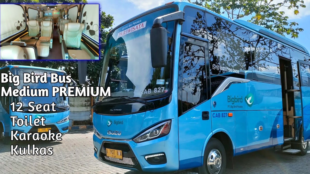 Big Bird Medium Bus Premium || Medium Bus Premium || Bus Medium Luxury