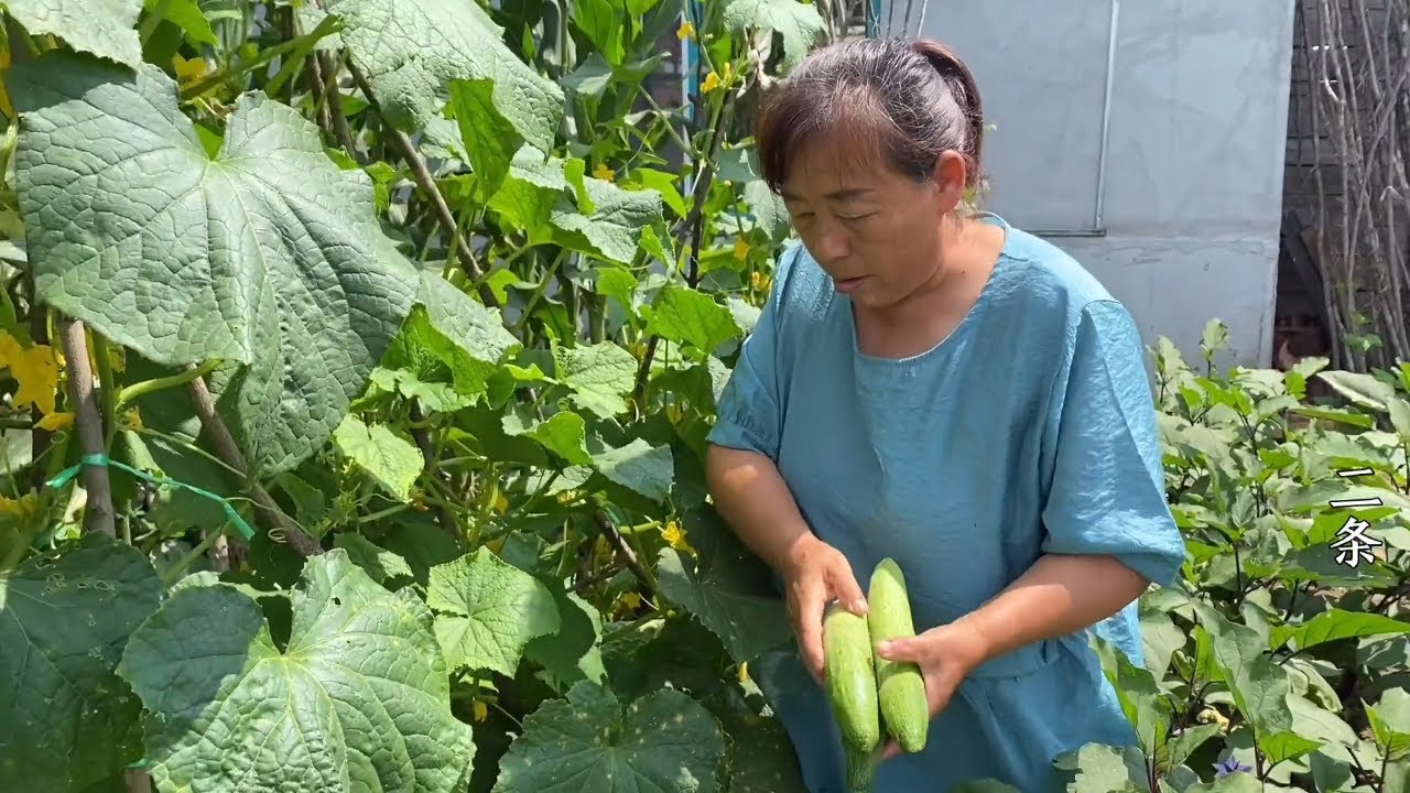 爸妈领小七赶集回家，菜园里兜一圈，2分钟做道菜多数人没吃过？