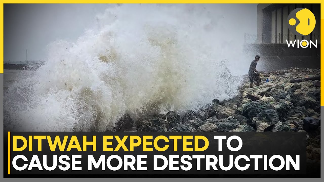 Cyclone Ditwah: Tamil Nadu, Puducherry to be Hit, Destruction To Intensify | WION