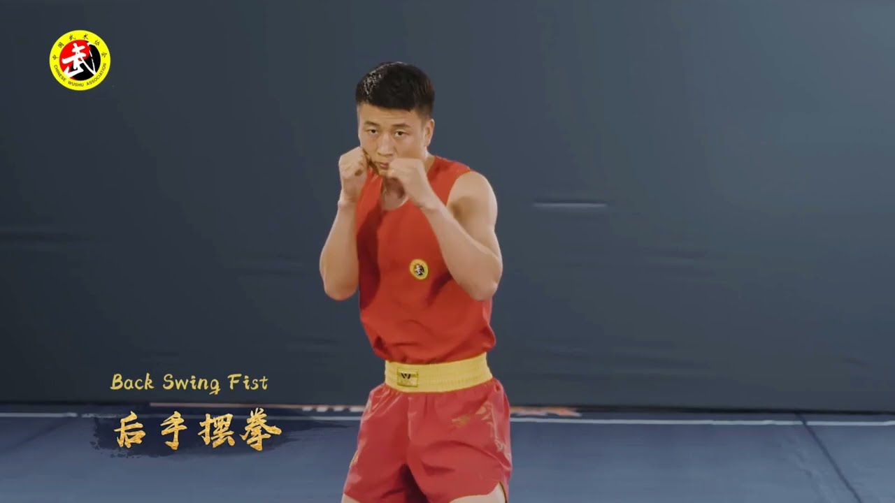 Wushu, Sanda Boxing tutorial!!