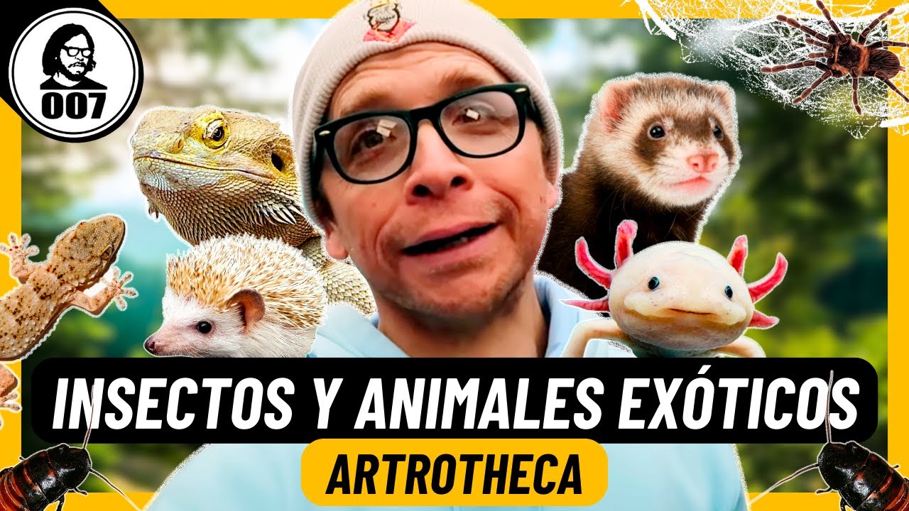 ¡CONOCIMOS INSECTOS Y ANIMALES EXÓTICOS EN LIMA! | ARTROTHECA