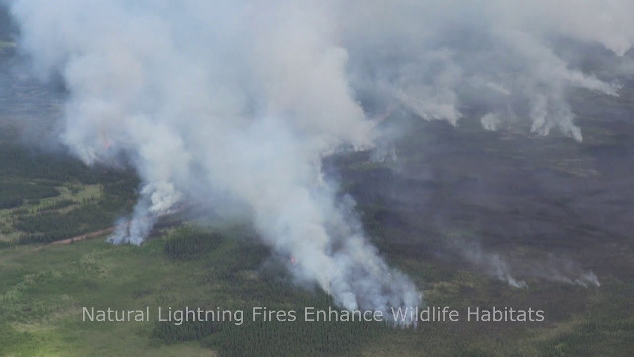 Nate Swan Lakes Fire
