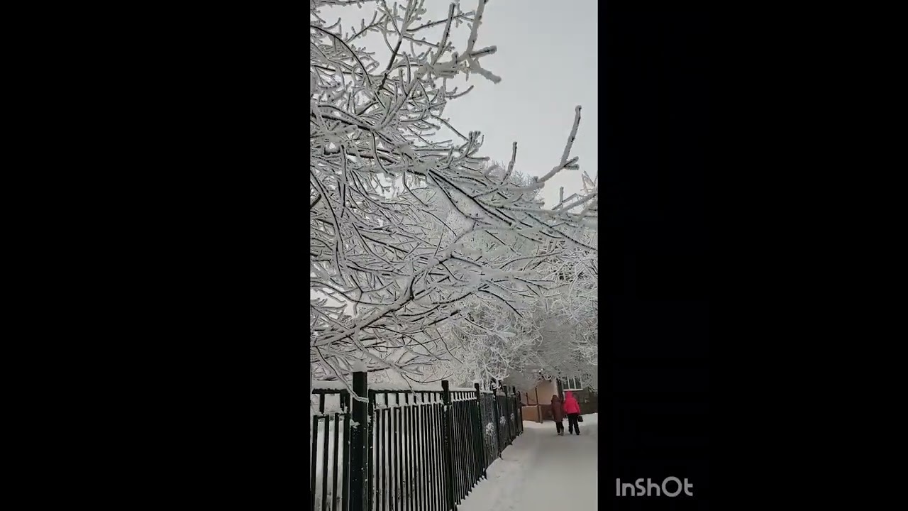 Сибирь